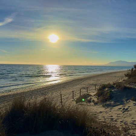 Apartamento Marbella Alicate Beach מראה חיצוני תמונה